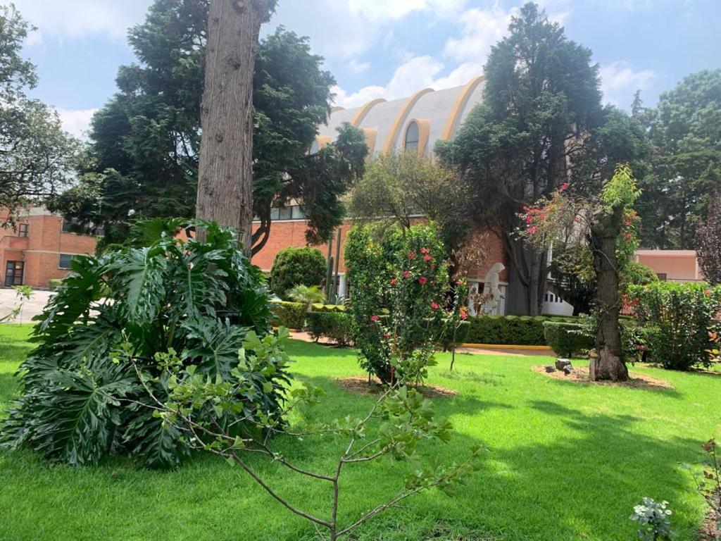 Hotel Express Quinta Soledad Мехико Экстерьер фото