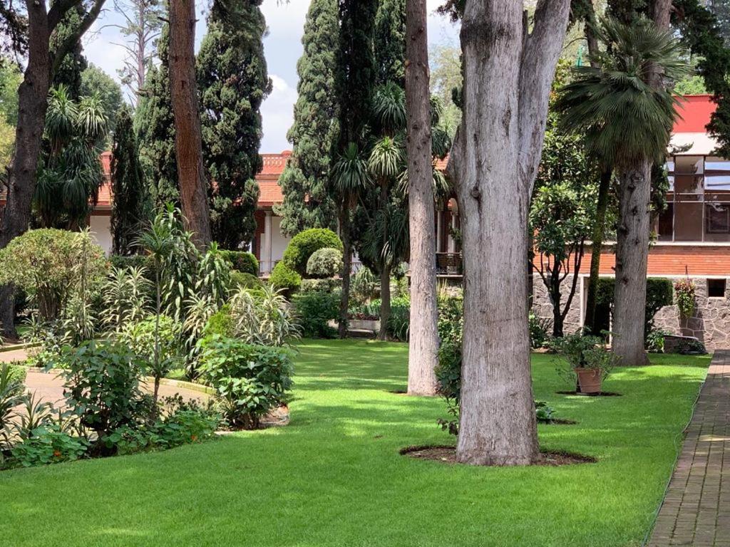 Hotel Express Quinta Soledad Мехико Экстерьер фото