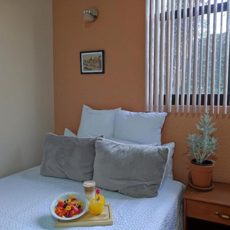 Hotel Express Quinta Soledad Мехико Экстерьер фото