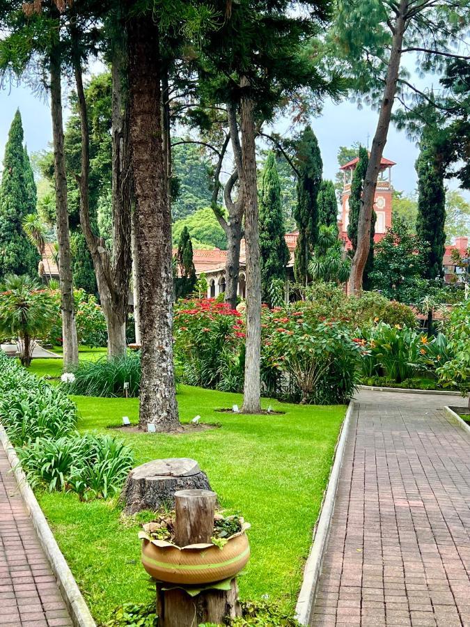 Hotel Express Quinta Soledad Мехико Экстерьер фото