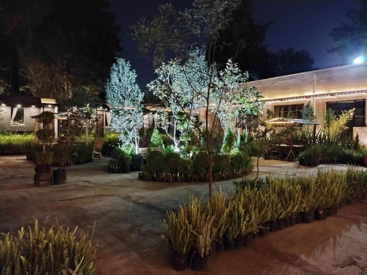 Hotel Express Quinta Soledad Мехико Экстерьер фото