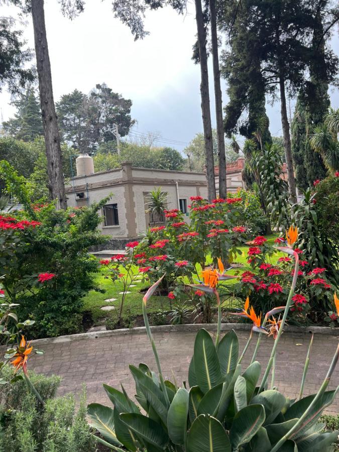 Hotel Express Quinta Soledad Мехико Экстерьер фото