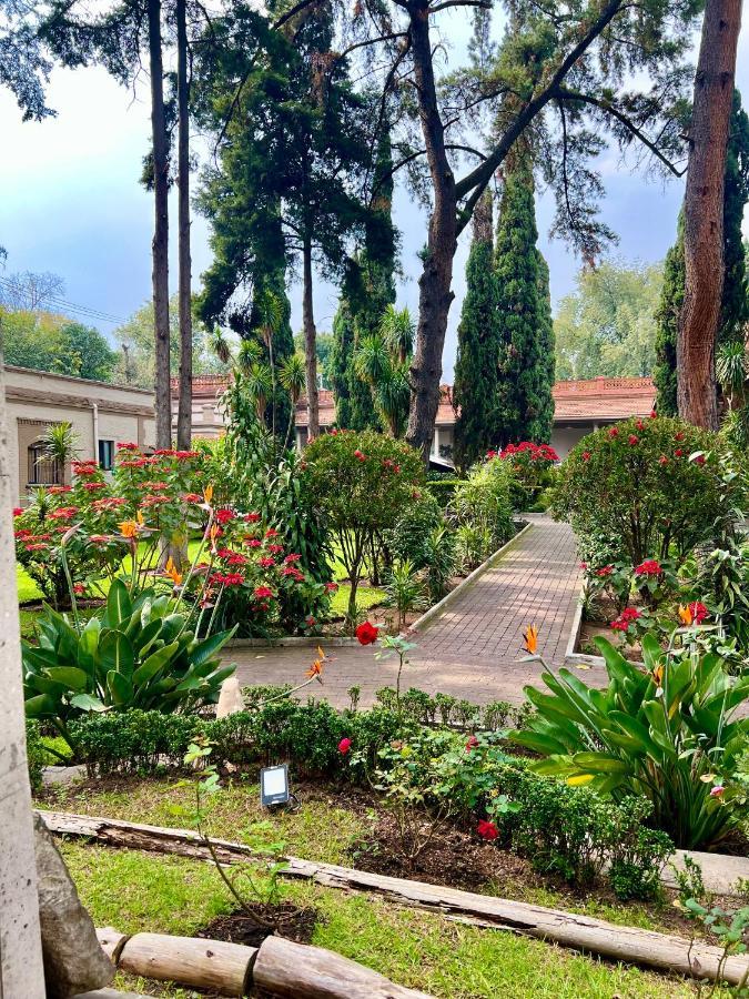Hotel Express Quinta Soledad Мехико Экстерьер фото